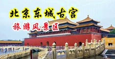 动漫美女求艹视频中国北京-东城古宫旅游风景区